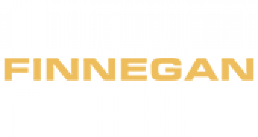 Finnegan